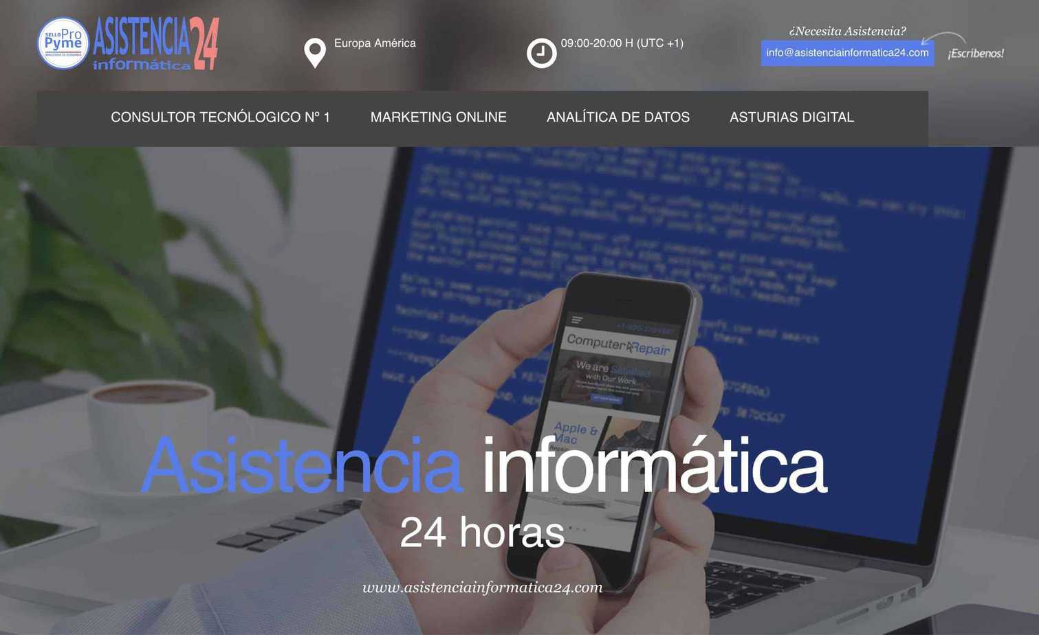 Asistencia informática 24