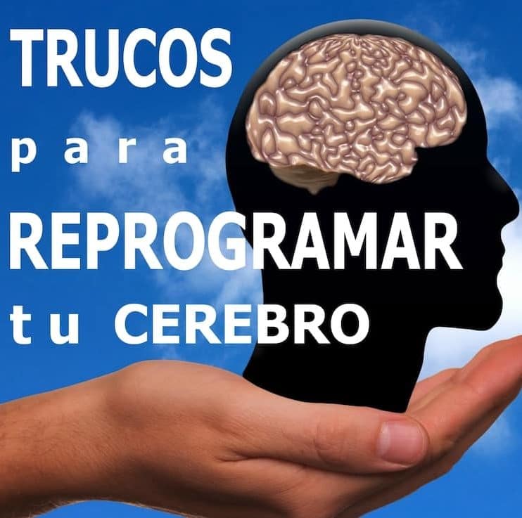 flin trucos cerebro flin asociados e1587137680662