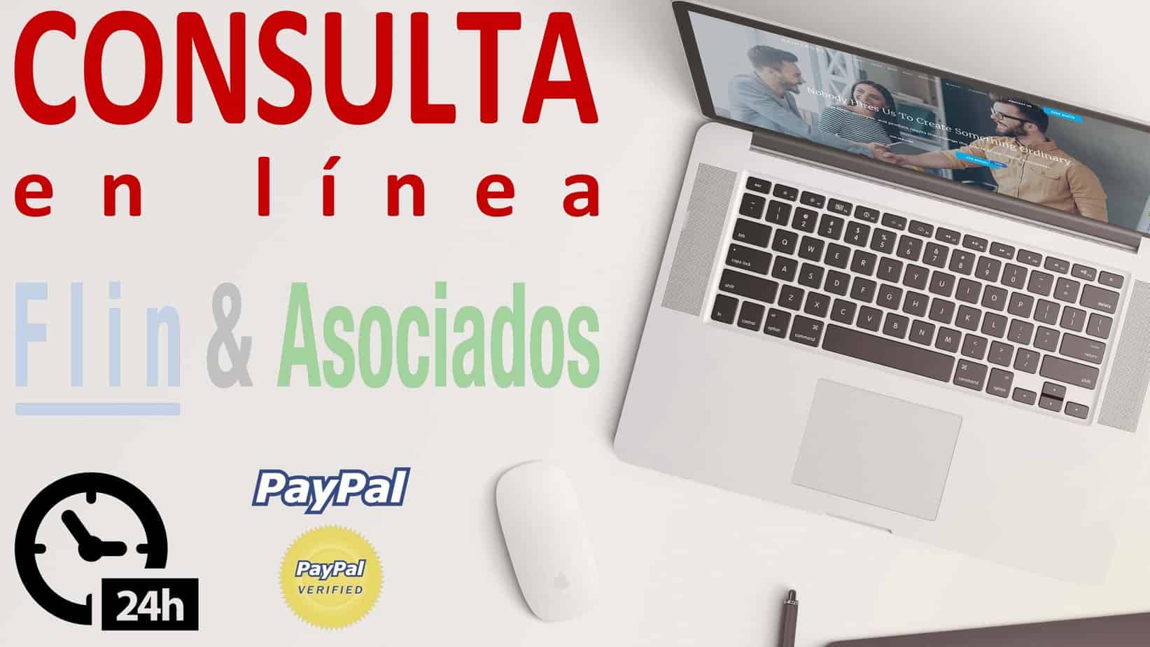 consulta en linea flin es