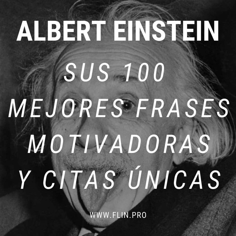 einstein flin pro 1