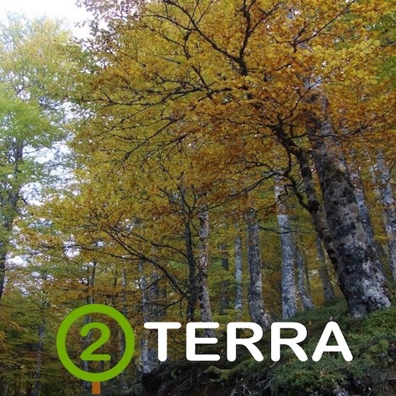 donaciones-o2terra-asturias-espana