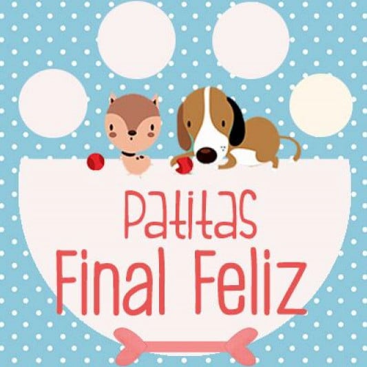 donaciones patitasfinalfeliz 1