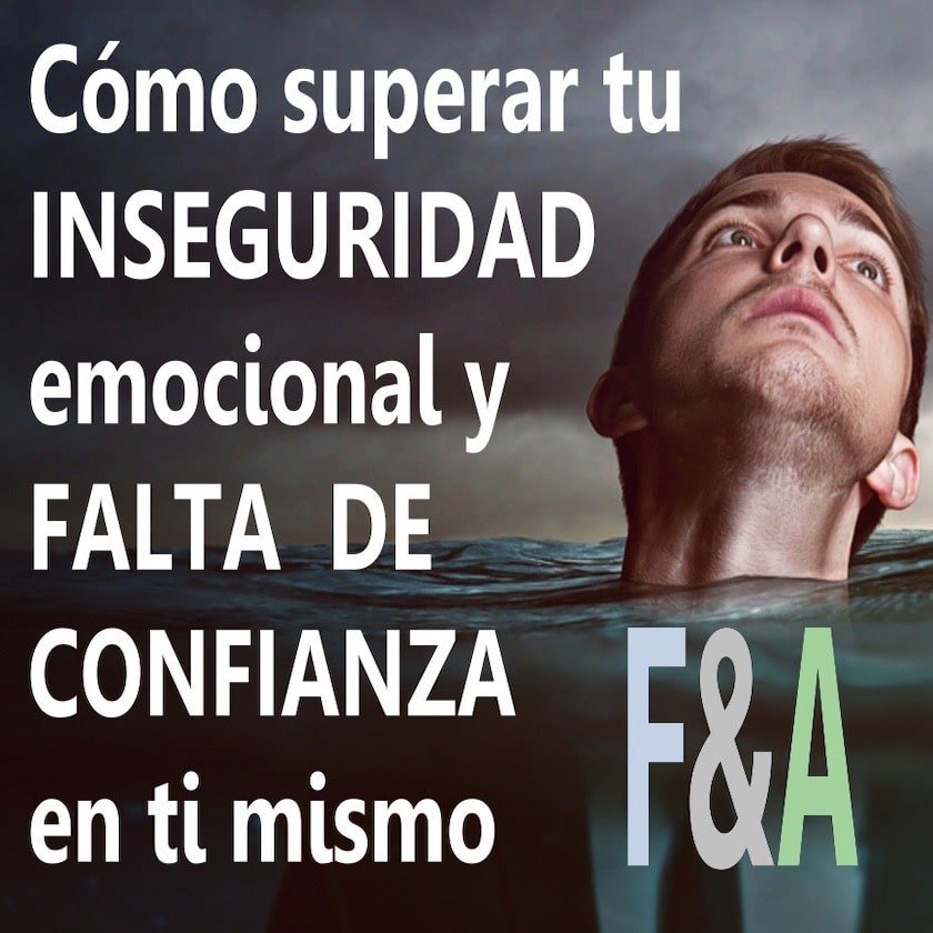 flin inseguridad Web