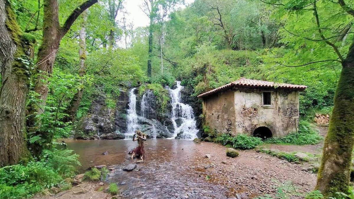 Valle del Nalón - FLIN.pro - Pura naturaleza