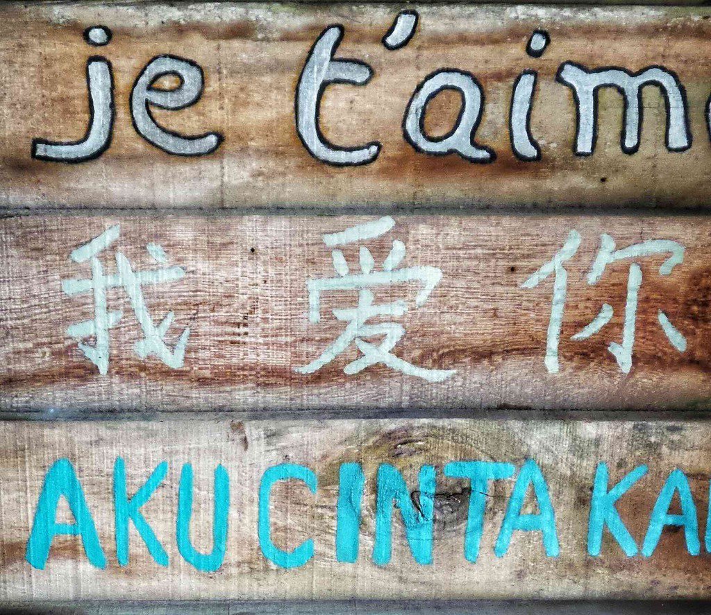 What are the most difficult languages to learn in the world?