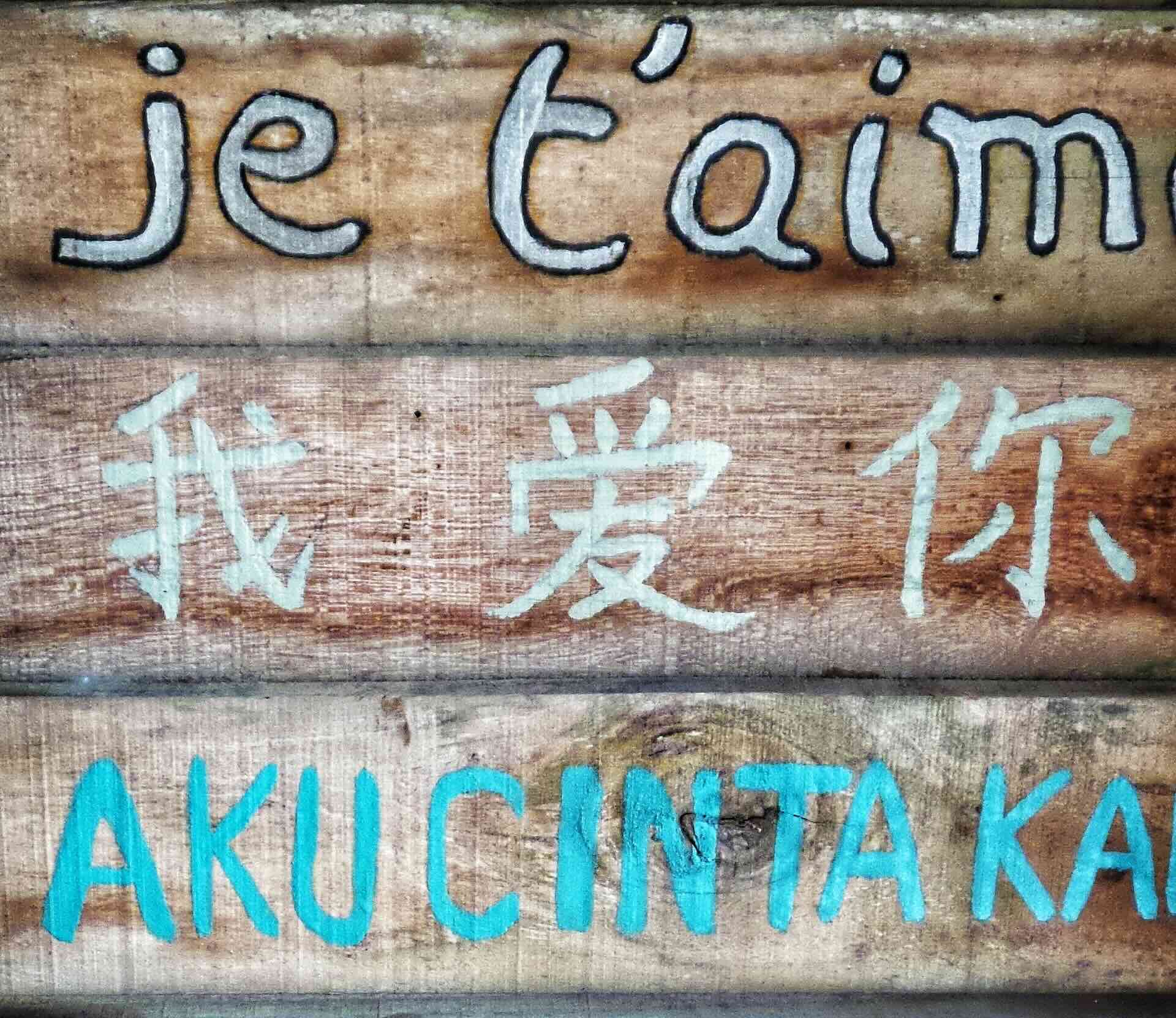 Cuáles son los idiomas más difíciles de aprender del mundo?